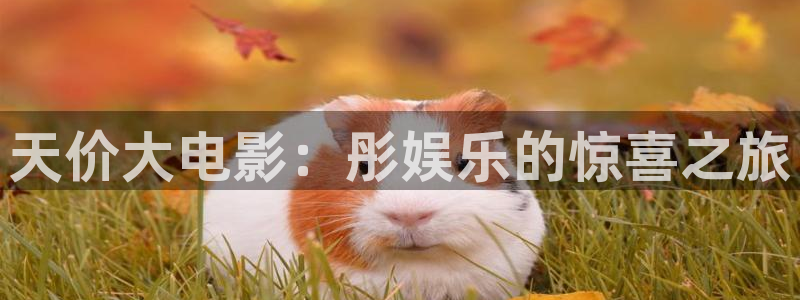 华润娱乐：天价大电影：彤娱乐的惊喜之旅