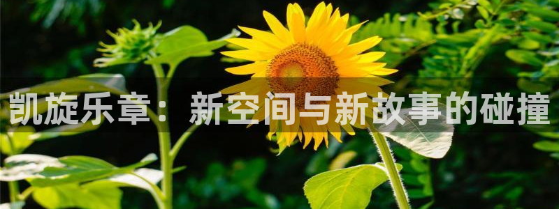 首页华润娱乐：凯旋乐章：新空间与新故事的碰撞