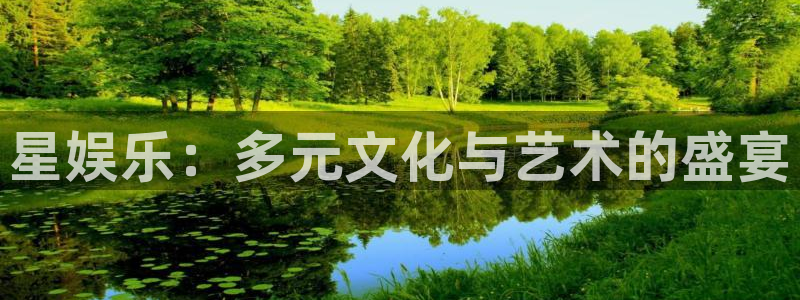 华润娱乐官方网站入口：星娱乐：多元文化与艺术的盛宴