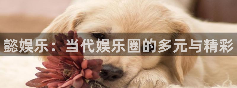 首页华润娱乐：懿娱乐：当代娱乐圈的多元与精彩