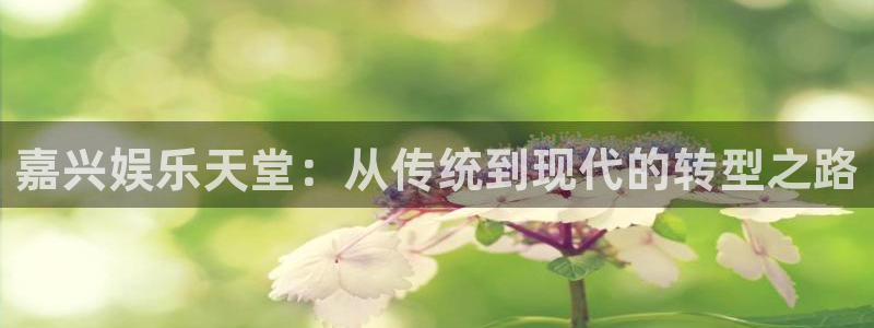华润娱乐：嘉兴娱乐天堂：从传统到现代的转型之路