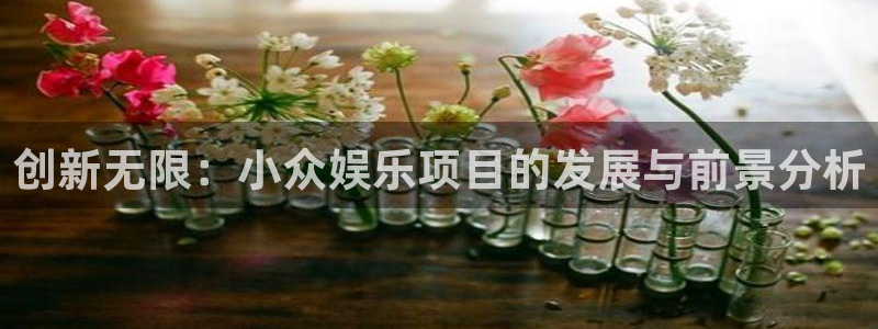 华润娱乐官方网站入口：创新无限：小众娱乐项目的发展与前景分析