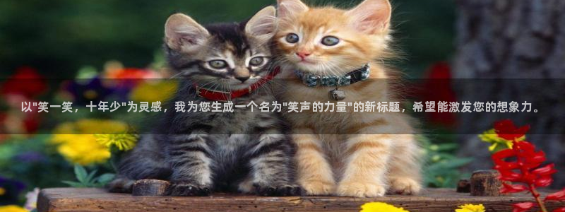 upload/20250701114914.jpg