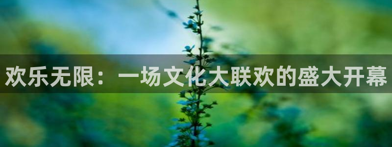 首页华润娱乐：欢乐无限：一场文化大联欢的盛大开幕