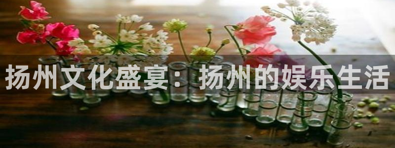 华润娱乐注册链接：扬州文化盛宴：扬州的娱乐生活